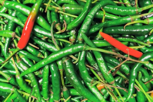 Green-Chillies-500-g